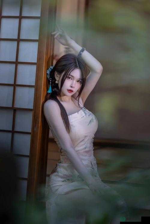 张婉悠白蛇传写真欣赏与资源管理及价值最大化策略探索