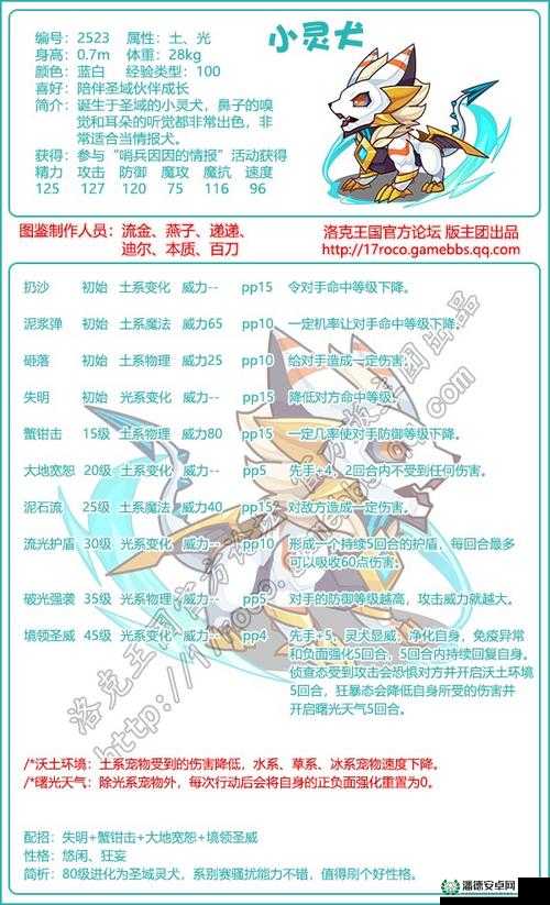 洛克王国宠物快满级时的高效练级秘籍，综合运用多种方法加速宠物升级进程