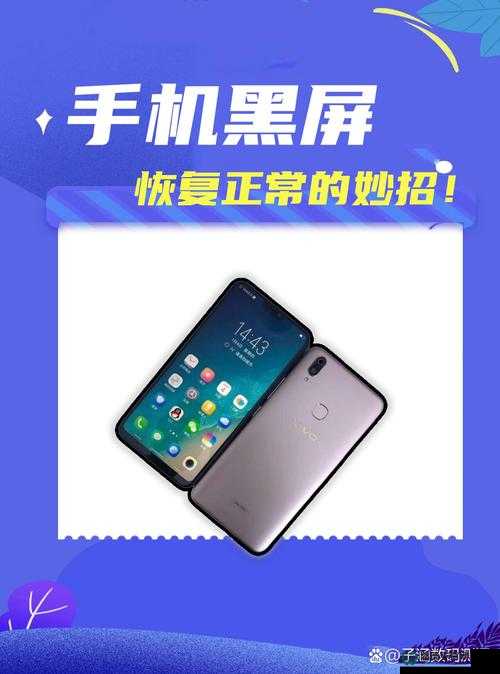 阿玛拉王国游戏黑屏问题频发？别担心，这里有专业解决妙招！