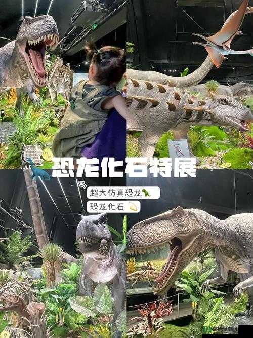 奥拉星恐龙博物馆全攻略，深入探索，领略侏罗纪时代的奇妙冒险之旅