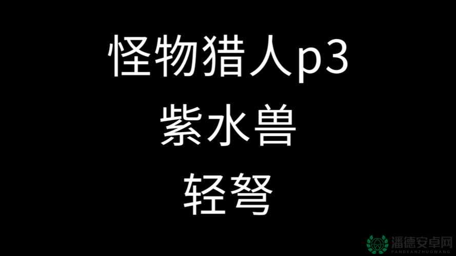 怪物猎人3G游戏攻略，紫水兽高效打法技巧与策略全解析