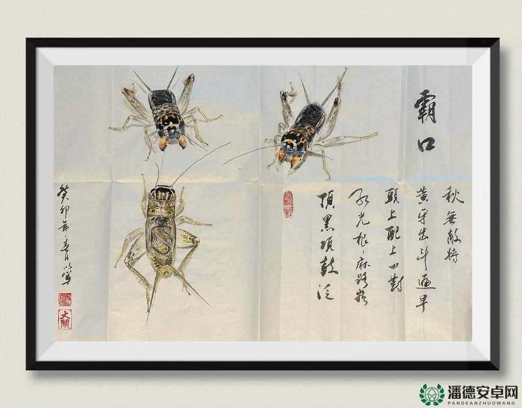 斗蟋蟀深度攻略，掌握资源管理的艺术，打造无敌蟋蟀战队