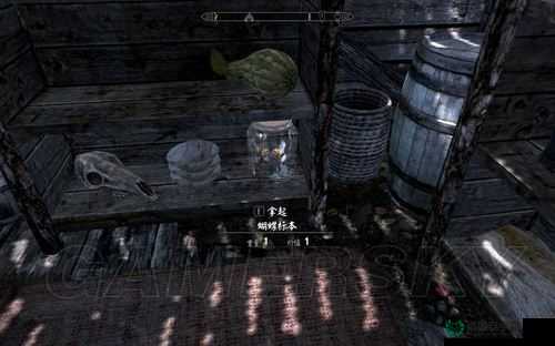 上古卷轴5昆虫标本游戏彩蛋深度解析，资源管理艺术与详尽图文攻略