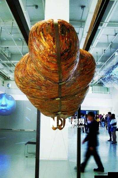 蝙蝠侠揭秘废弃走私船密码，探索资源管理的艺术与策略