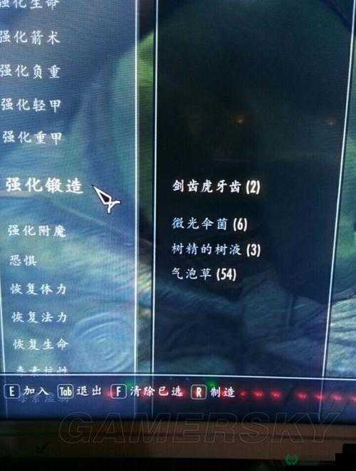 上古卷轴5，探索无限叠加附魔炼金技巧，掌握资源管理的高超艺术