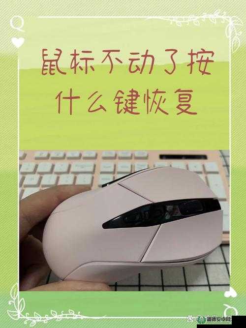 上古卷轴5游戏卡顿、帧数不稳、鼠标延时？专业妙招助你流畅畅玩！