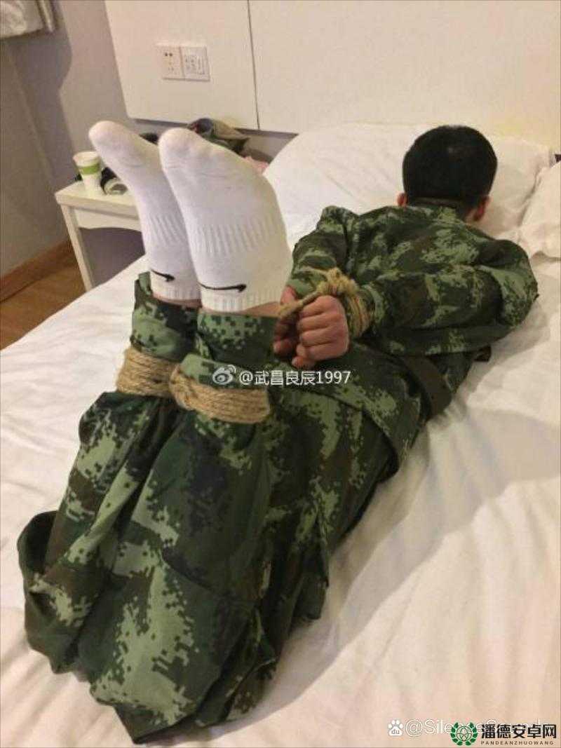 驷马双手双脚绑起来并戴上口球：关于这种特殊行为的探讨与思考