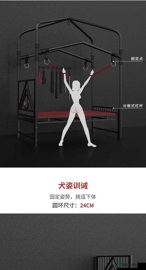 道具折磨调教下体视频：极致探索身体极限的奥秘