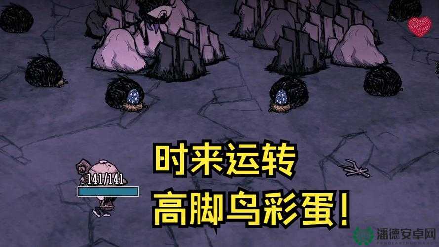 饥荒海难DLC高鸟无伤打法深度攻略，技巧揭秘与实战策略