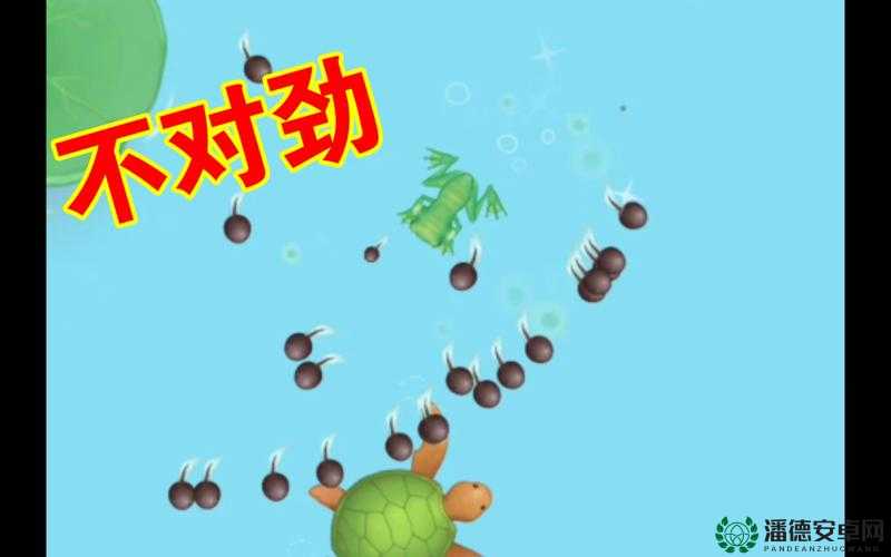 关于蝌蚪窝一个释放的相关情况探讨