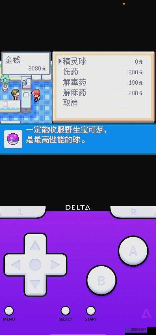 口袋妖怪黑白系列高效刷钱技巧与策略全攻略详解