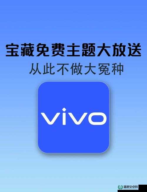 软件网站下载 3.0.3 免费 vivo 版破解装扮版大全-满足你的多样需求