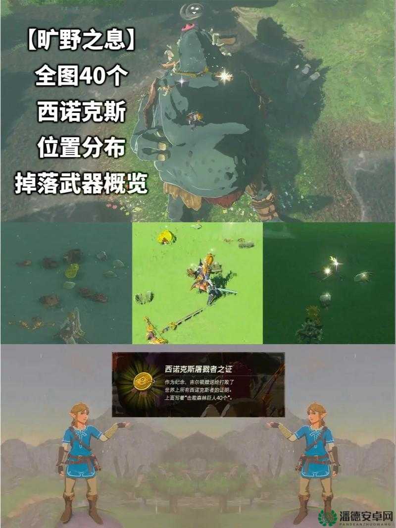 塞尔达传说，大地的汽笛全面图文攻略，助你轻松征服广阔世界