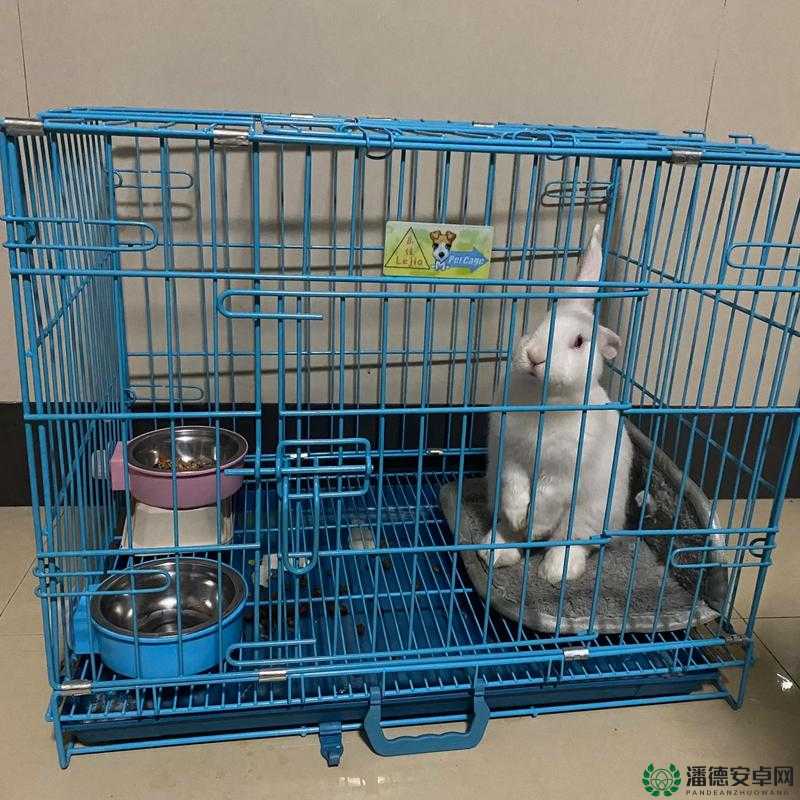 男生咬小兔兔时内心的复杂思绪与情感起伏：缘由及影响