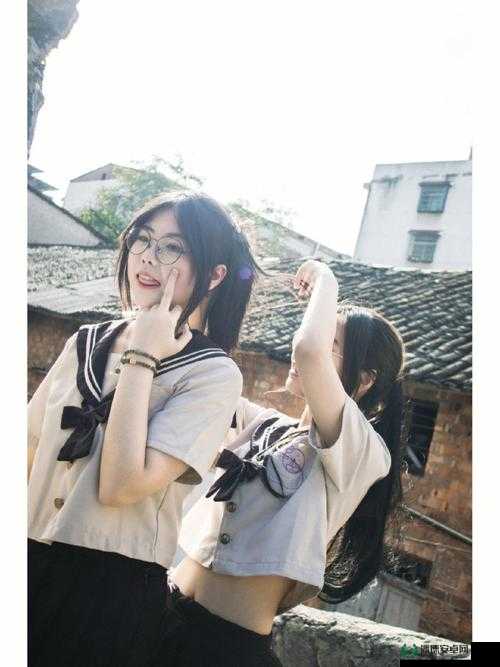 鲁大师影院在线观看十七岁：青春成长的动人故事