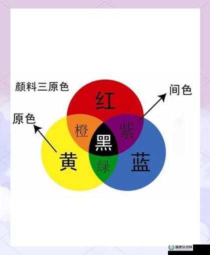 成品人和精品人哪种颜色最好看：深入探讨色彩选择背后的奥秘