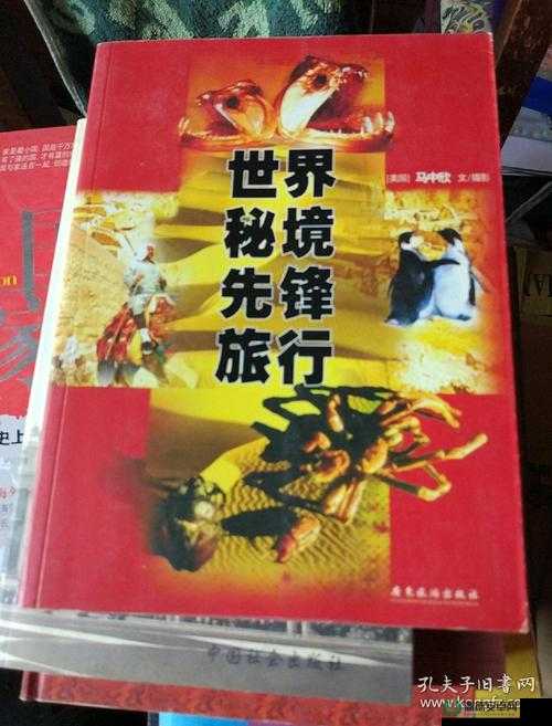 秘境2.2新篇深度探索，解锁隐藏英雄与全面攻略秘籍指南