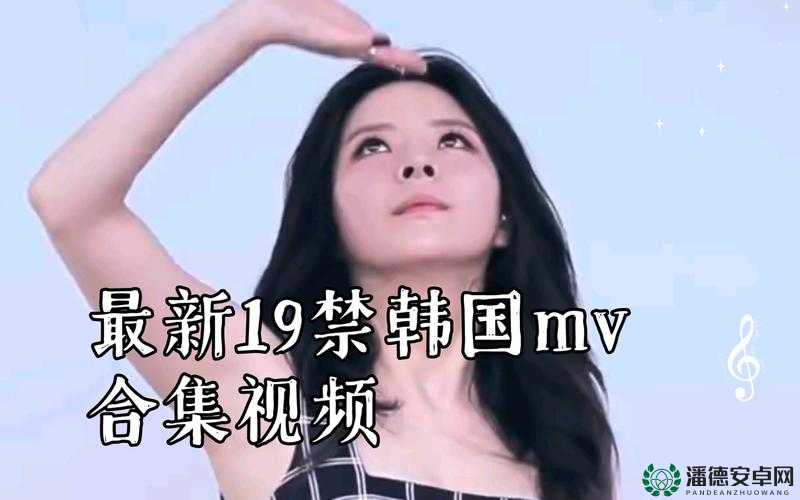 韩国 VIP19+ 福利视频：极致诱惑与精彩呈现