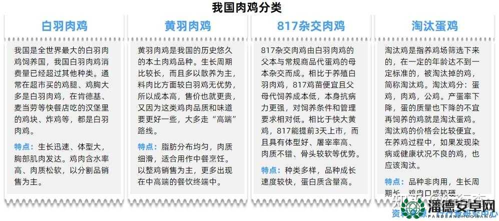 超级肉禽系统情节分析：深度解读其独特的叙事架构与发展脉络