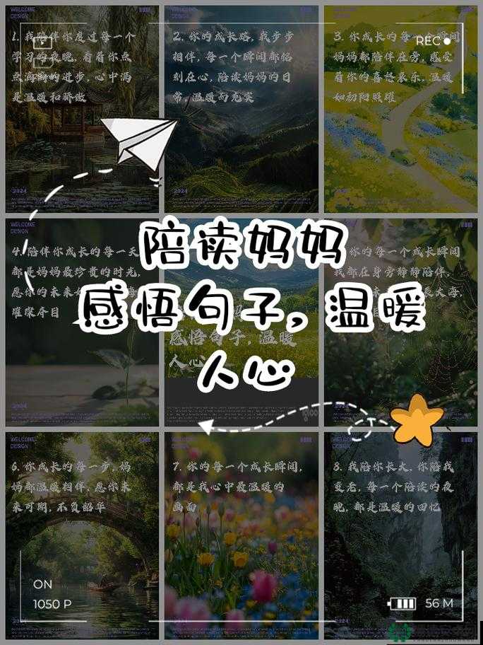 陪读妈妈 17 节至 29 节：成长与陪伴的故事