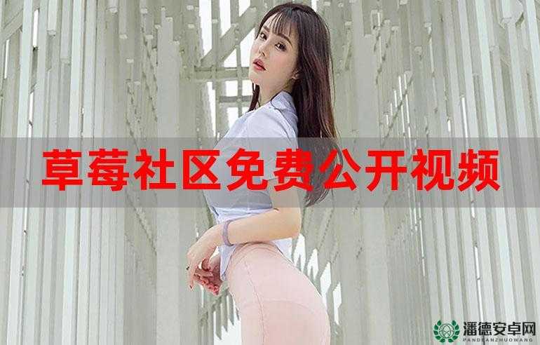 妖精直播 APP 最新版下载：畅享精彩直播盛宴