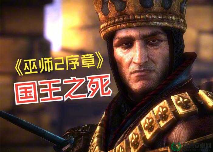 巫师2新手全面启程，序章视频教程深度解析与游戏入门指南