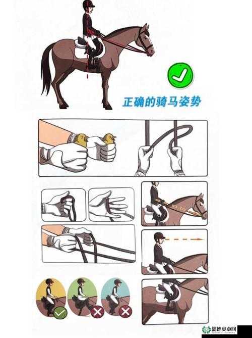 如何深入交流骑马：专业技巧与经验分享