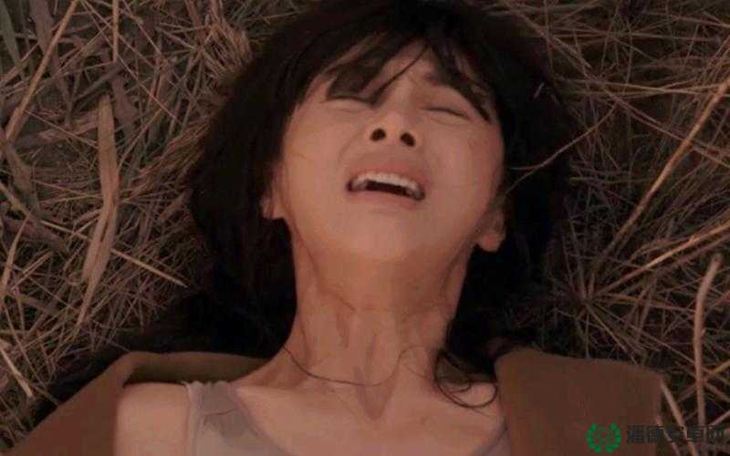 日本 69sexmovies：成人之爱，无国界的激情