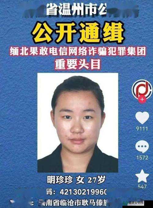 缅甸北部血腥网站 2024 黑网：揭秘缅北网络犯罪背后的黑暗世界