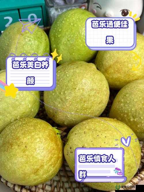 芭乐 app 网址进入 18 免费：纯净无广告，尽享视觉盛宴