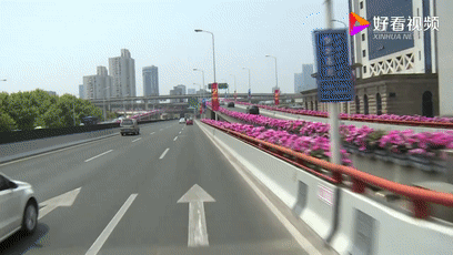 曹比视频：独特视角呈现别样精彩