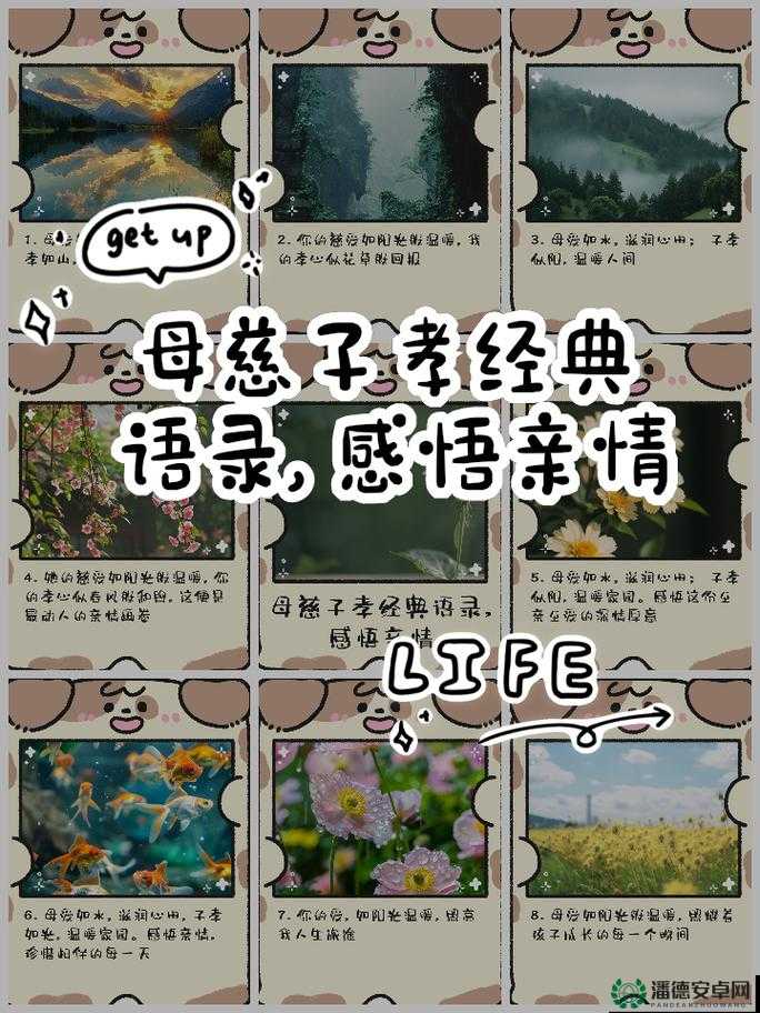 母慈子孝共天伦，演绎人间至美亲情画卷