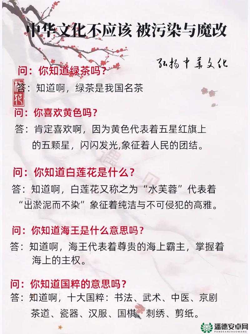 xxxx69 中国人：文化符号背后的故事与争议