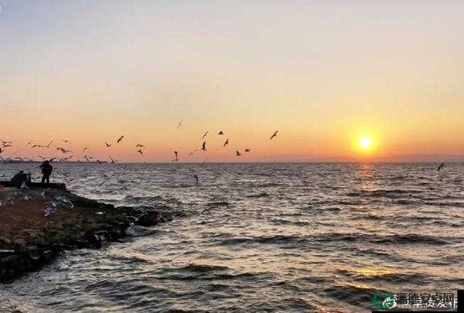 杏吧探花：探寻不为人知的精彩与独特魅力之旅