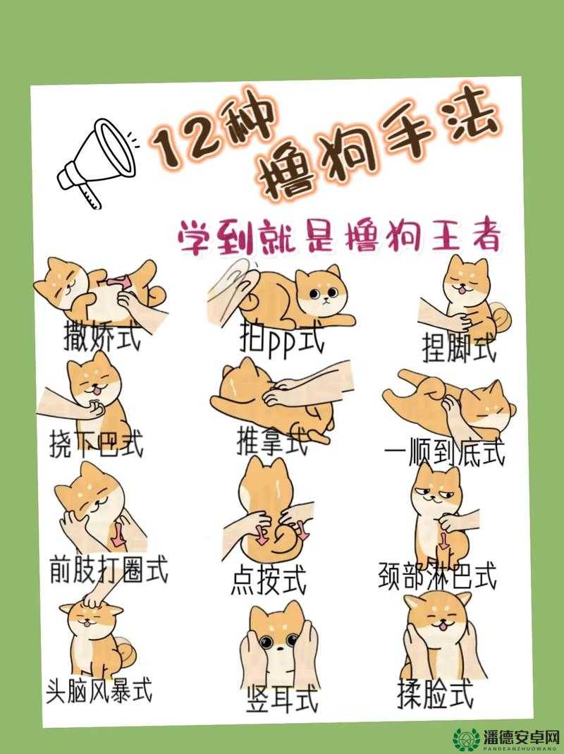 如何巧妙实现人狗大战的趣味玩法探讨