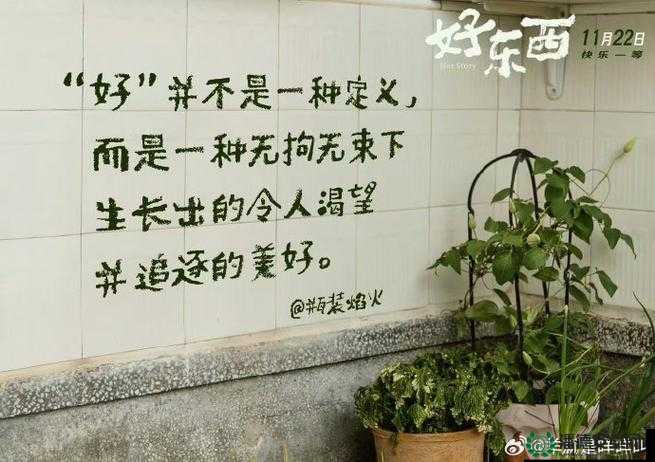 两个人一起 C 一个人：一段令人深思的复杂人际纠葛