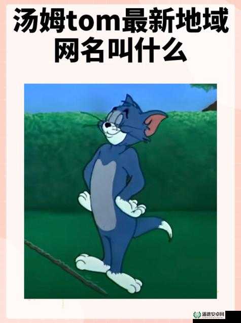 Tom 永久地域网名入口在哪里究竟在哪里呢