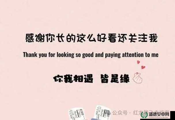 打开这个网站你会感谢我的：带你发现无限精彩与惊喜