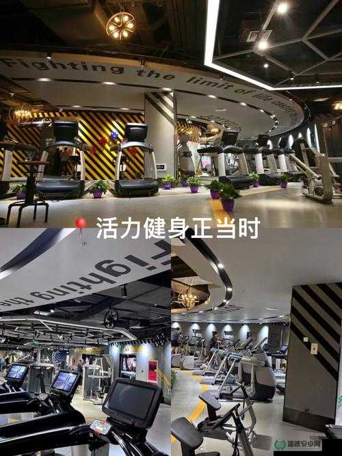 国产可乐操：传统与创新融合的独特健身方式引领健康潮流
