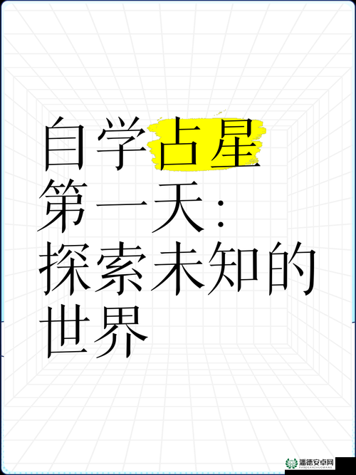 好色 y31：探索未知的世界