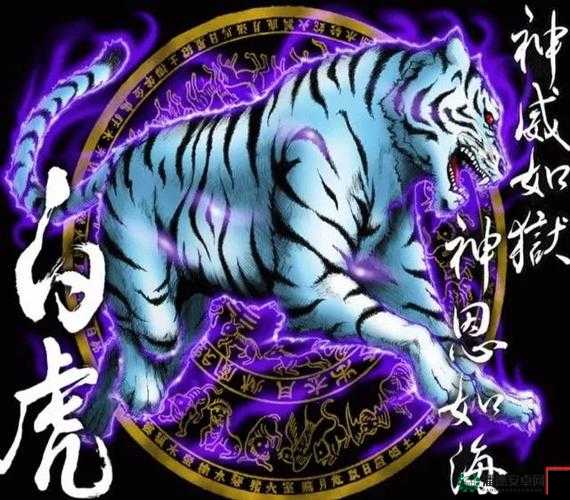 www 高清无码白虎黄高清无码：探寻独特视觉盛宴的奥秘