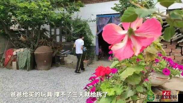 老板意外捡到我的电动玩具按钮后续如何发展