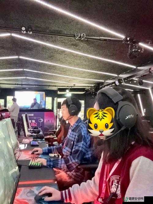 CSGO 真人高清版观看：领略极致电竞视觉盛宴的精彩时刻