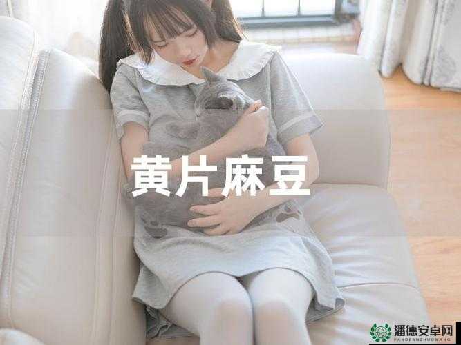 91 麻豆精品 91 久久久久同性：成人影片界的经典之作