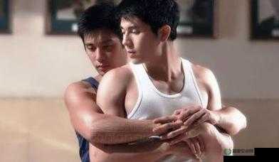 男男同性同性之恋：爱与勇气的交织