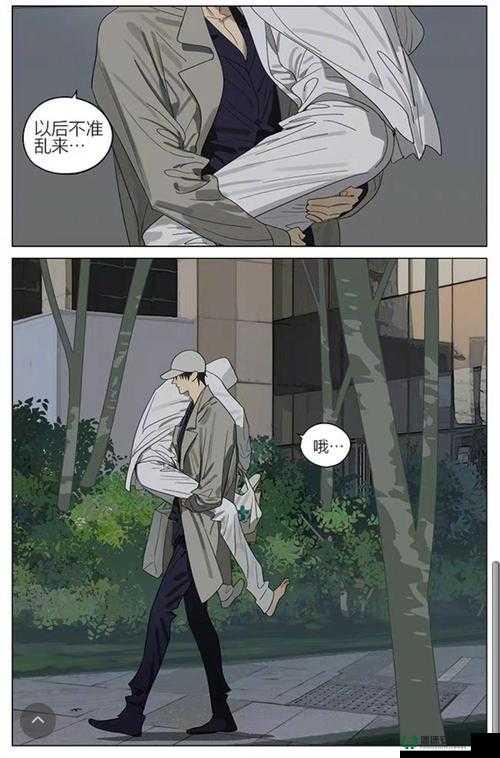 专家分析-学长被 C 哭着爬走又被拉回来背后的原因究竟是什么