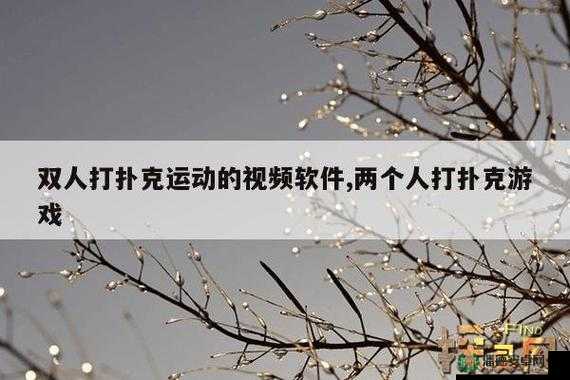 夜晚运动打扑克声引发的别样情境探讨