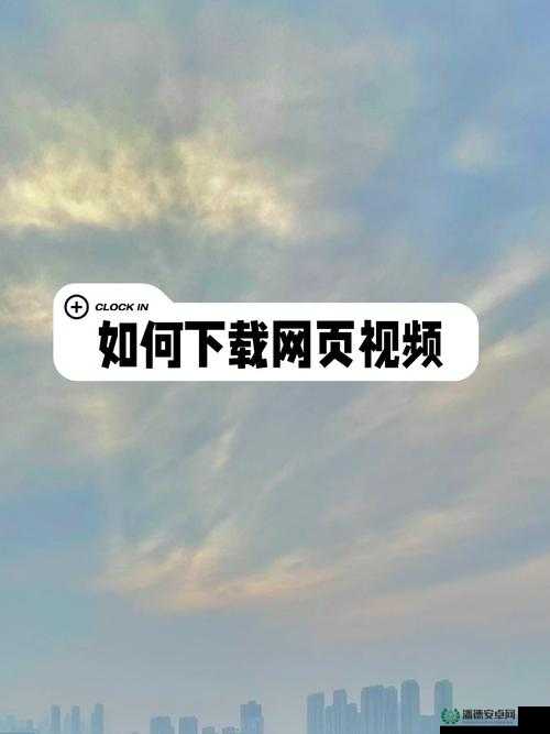 如何找到最靠谱的免费观看行情软件网站？——探寻优质网站之道