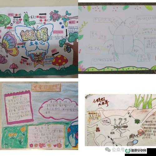 叔叔用心来教你，带你开启知识探索之旅