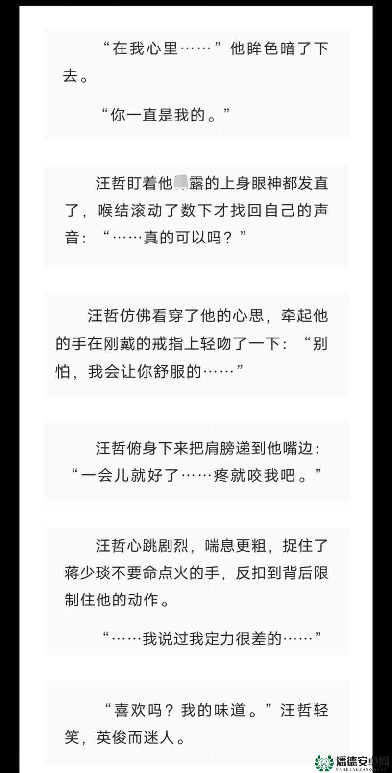 双男主车书细写：深度探索两车之间的独特羁绊与故事